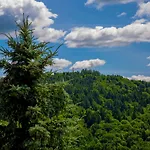 Sun & Sport Krynica-zdroj 公寓