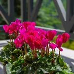 Sun & Sport Krynica-zdroj 公寓