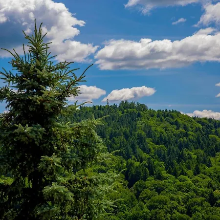 Sun & Sport Krynica-zdroj 公寓